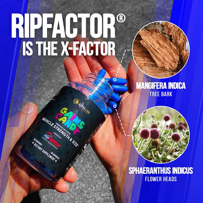 GAINS CANDY™ RIPFACTOR®  - Increase Muscle Strength & Size† - 3 Alphalion