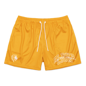 Legacy Mesh Shorts | 